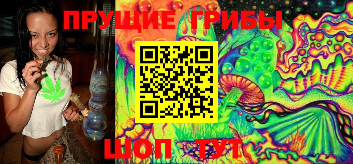 Псилоцибиновые грибы мицелий  Вход с VPN  Кимовск 